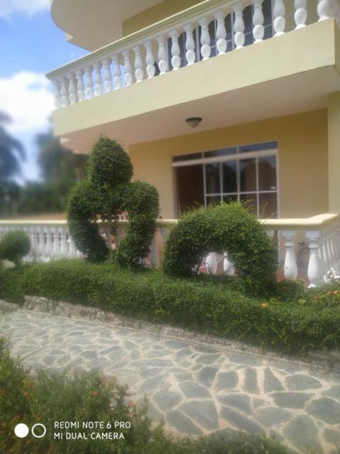 Residencial Las Palmeras De Willy ボカ・チカ エクステリア 写真